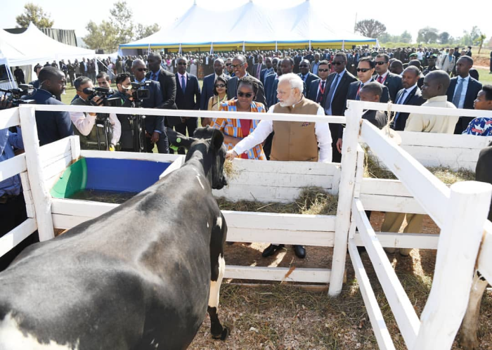 Narendra Modi uherutse koroza inka Abanyabugesera yatsinze amatora