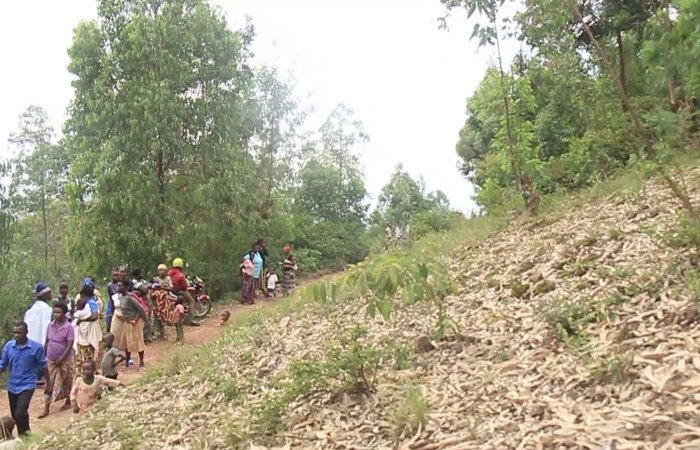 Gasabo&nbsp;: Avuga ko yasambanyijwe ku ngufu n’amabandi aba mu ishyamba ryiswe irya MINAGRI