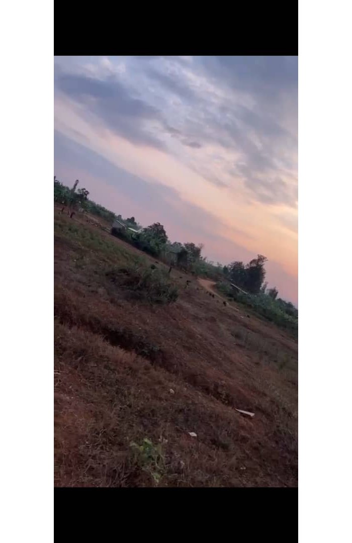 Isambu nziza i Bugesera igurishwa kuri macye