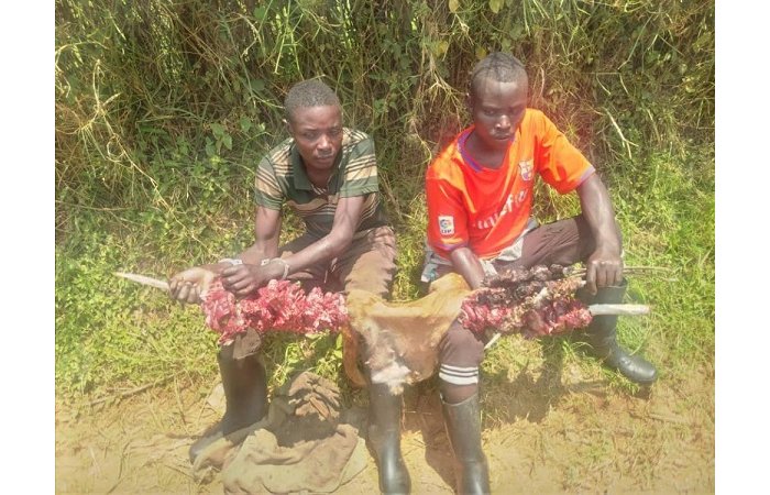 AMAHANO i  Gatsibo&nbsp;: Abasore babiri baguwe gitumo  botsa inyama z’imbwa bamaze kuzigaburira abantu babiri