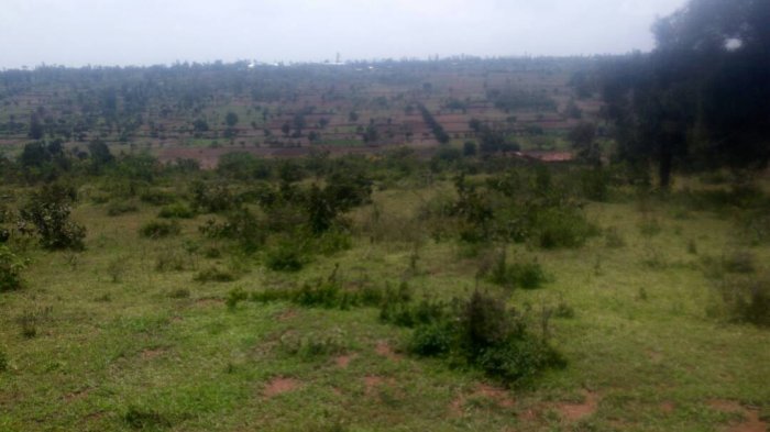 Ikibanza kinini cyane kigurishwa make cyane