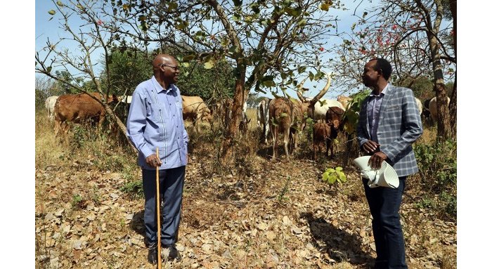 AKUMIRO&nbsp;: Umushinga  Leta yashoyemo arenga Miliyari 14 Frw  winjiza Miliyoni 134 Frw wakoresheje Miliyari zirenga 4 Frw buri mwaka