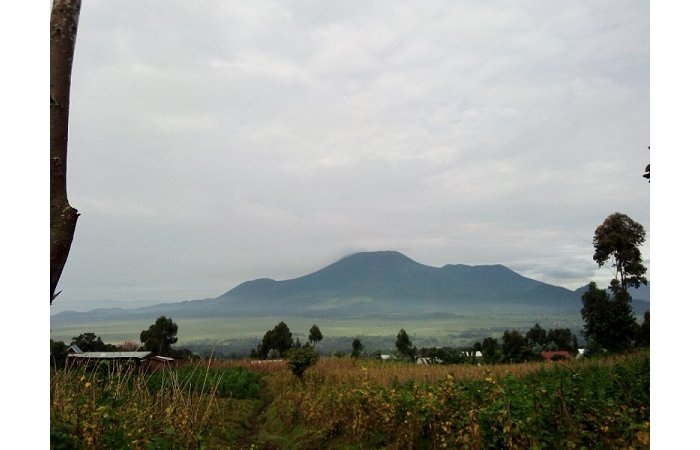 M23 yafashe  amarembo y’Umujyi wa Goma 