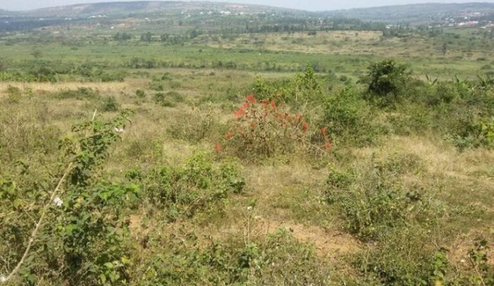 Bugesera&nbsp;: Abafite ubutaka bumaze igihe budahingwa bagiye kubwamburwa butizwe abandi