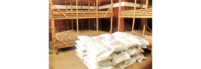 Musanze : Hatunzwe agatoki ubuyobozi bw’ikigega “SPF” mu kunyereza umutungo hakabura imbuto y’ibirayi