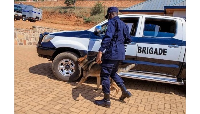 Polisi y’u Rwanda yakiriye imbwa 12 zifashishwa mu gusaka