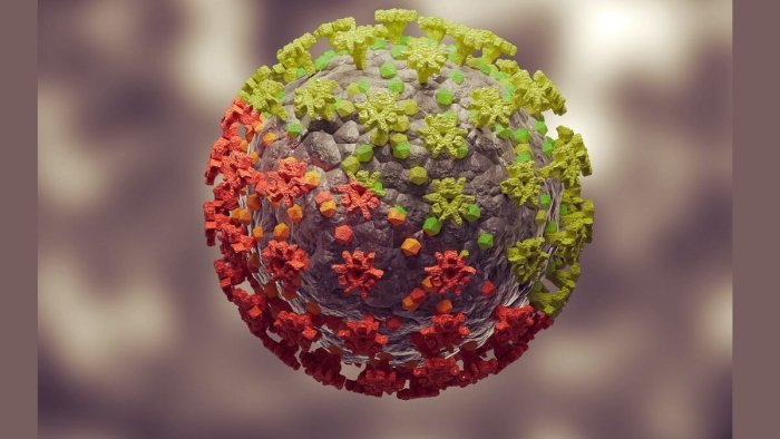 Omicron yamaze kugaragara mu Rwanda…Abaturarwanda barasabwa iki&nbsp;?