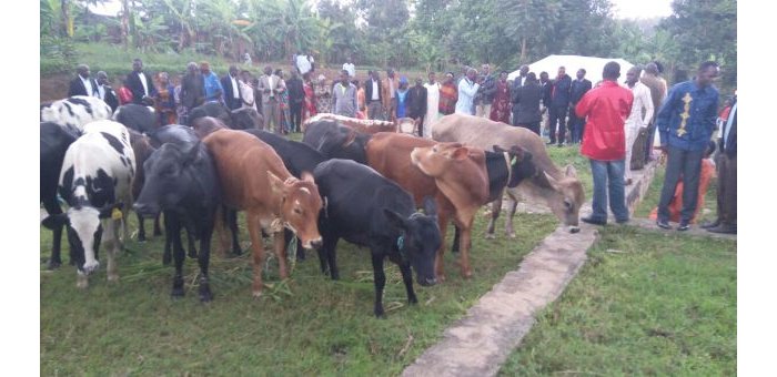 Undi mugabo w’i Mbuye yagabiwe inka 21, uwatangije ibi yashimiwe na Perezida Kagame