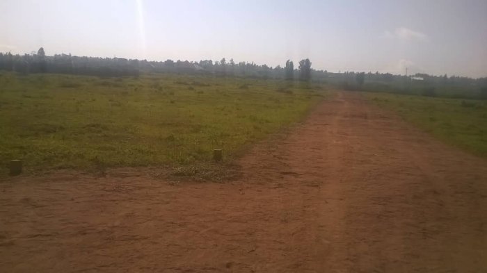 Ibibanza 30 birihamwe bigurishwa nyamata