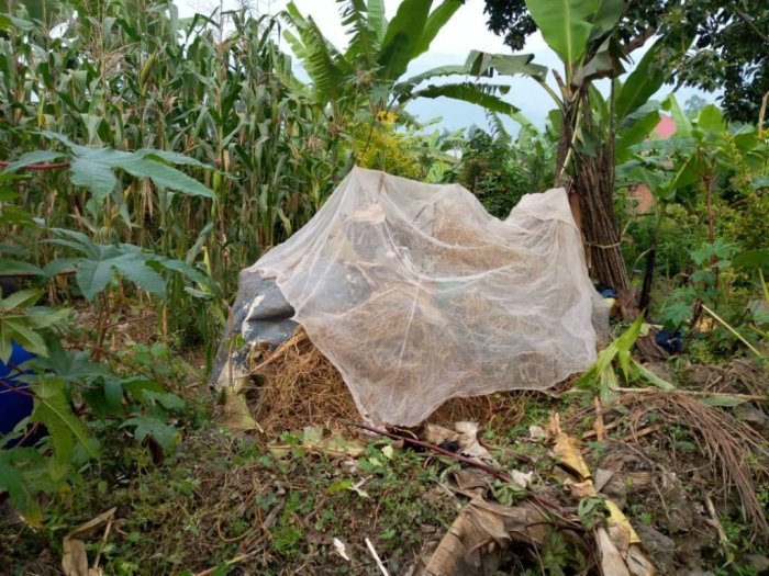 Musanze :Umubyeyi w’abana bane amaze igihe abana n’abana be  mu rutoki 