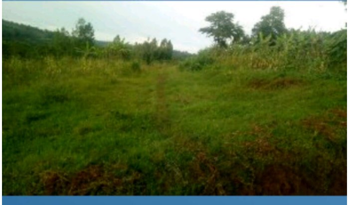 Gisagara/Save&nbsp;: Imihanda bakorewe na VUP yahindutse ibisambu, bo bati ‘Ntayo twari dukeneye’ 