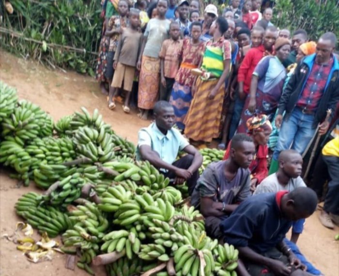 Operasiyo yakozwe ku munsi w’Intwari yafatiwemo abagabo bakekwaho kwiba ibitoki 40 abaturage babanenga ubugwari