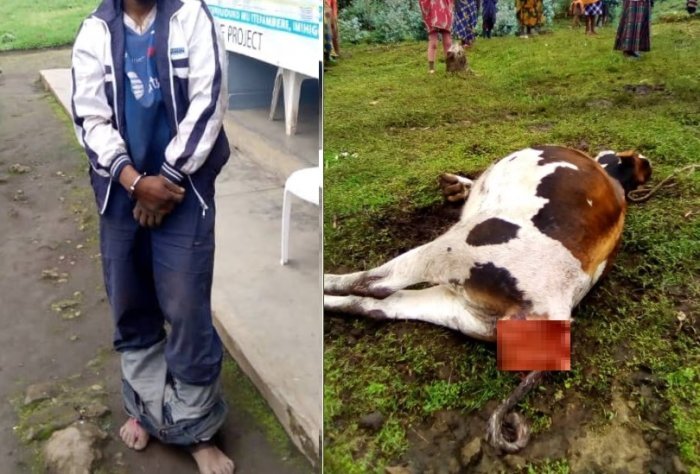 Sibomana wari uherutse gutabwa muri yombi akekwaho gutema inka yarashwe