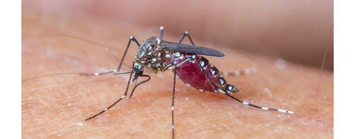 2020 : Abishwe na Malaria bagabanutseho 32%