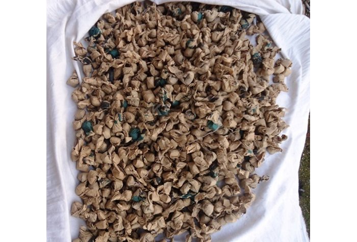 Rubavu&nbsp;: Umugabo w’imyaka 52 yafatanywe udupfunyika tw’urumogi 5 000 