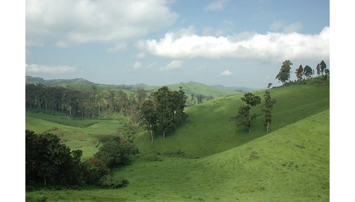 Amazina y’abishwe ! Bariyeri  ziswe ‘Nyirantarengwa’ ku Batutsi  b’i Masisi 