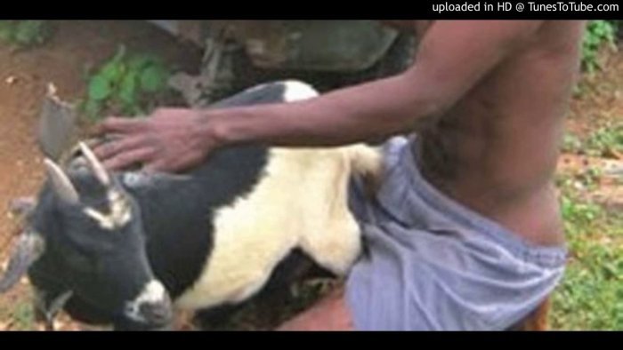 Umusore yafashwe habura gato ngo asambanye ihene nyuma y’uko imutamaje igahebeba