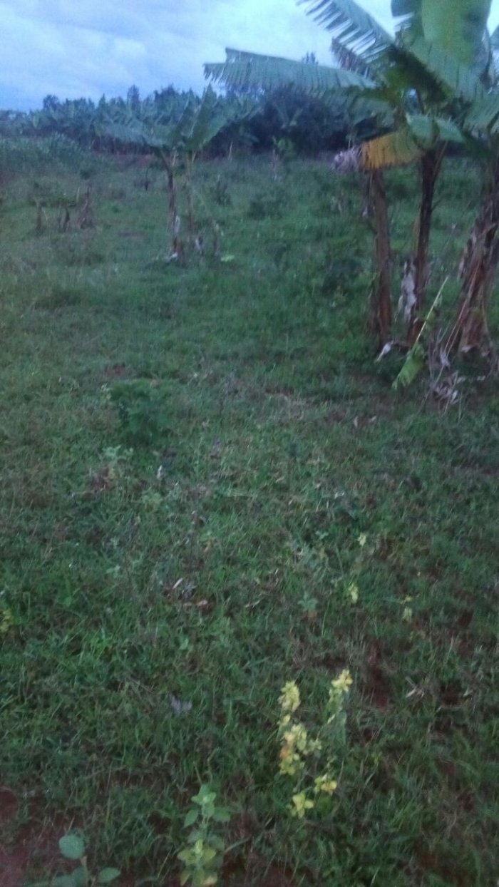 Ikibanza cyiza gihendutse kigurishwa 1.300.000frw