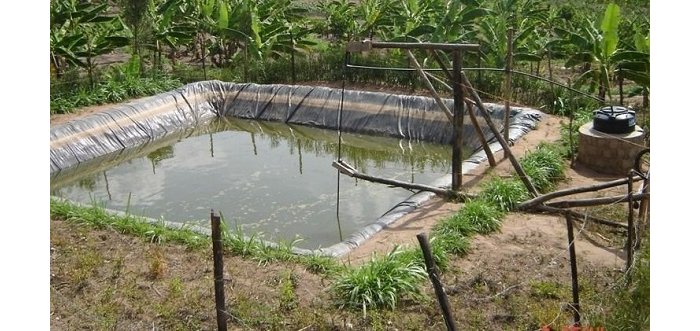 Rurageretse  hagati ya MINADEF na Rwiyemezamirimo,urubanza rwageze i Nyamirambo