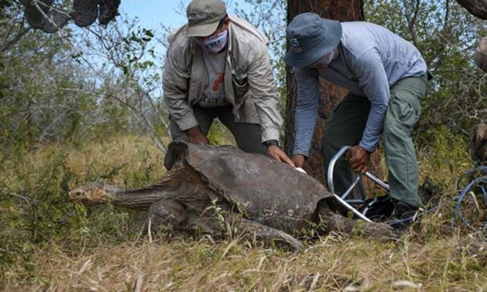 Papa w’abana 800 asubiye iwabo nyuma yo gutabara umuryango ngo  utazima