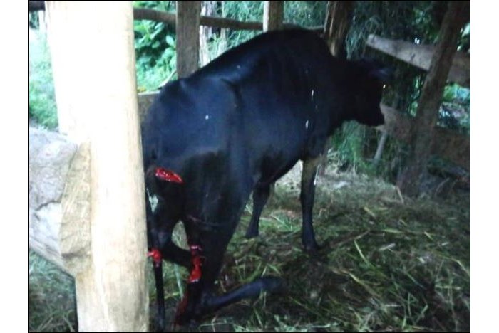 Gisagara&nbsp;: Umugabo yagiye gucyura umugore we baramumwima atashye atema amutungo y’urugo