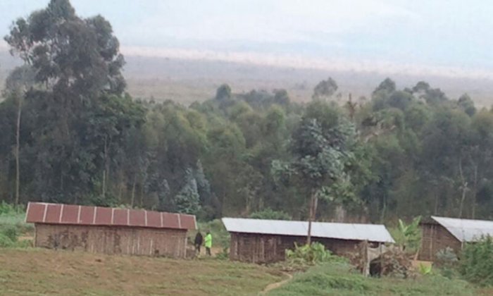 Rubavu&nbsp;: Umusore yarasiwe ku mupaka arapfa abandi bariruka, basiga imifuka y’urumogi