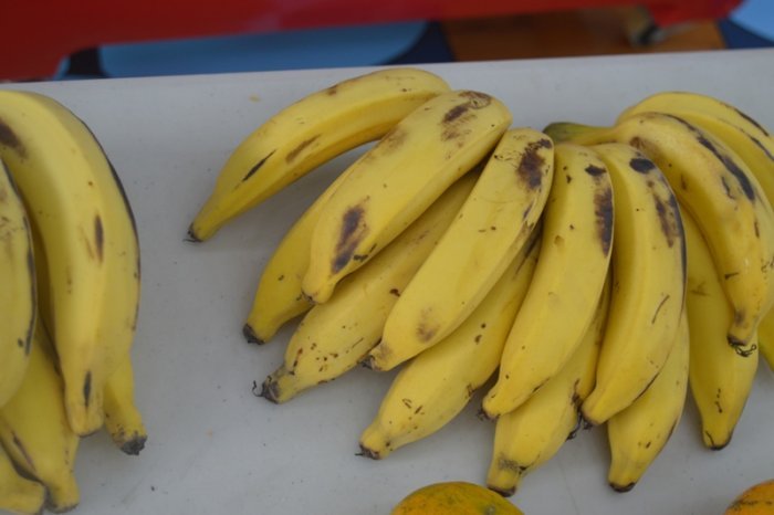 Ibintu 10 bikomeye ushobora kuba utari uzi ko imineke yamarira umubiri wawe 