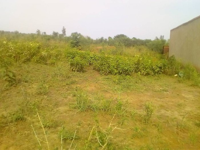 Ikibanza cyamake cyane 