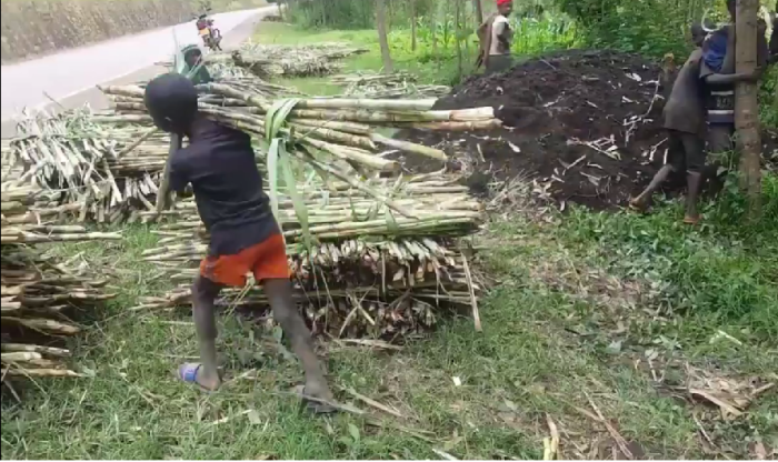 RIB yataye muri yombi abakoresha 2 nyuma y’ inkuru y’ abana bakoreshwa imirimo ivunanye 