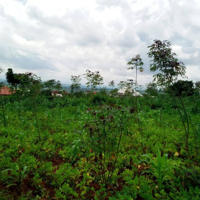 Ikibanza cyiza cyane kinini i Nyamata kiragurishwa macye