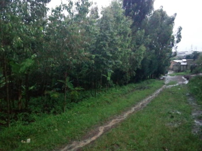 Ruhango&nbsp;: Abaturage batewe ubwoba n’ urugomo rubera ahiswe ‘Muyurupfu’ 