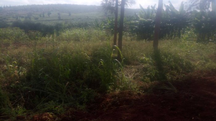 Ikibanza cyiza kigurishwa 1.000.000 Nyamata